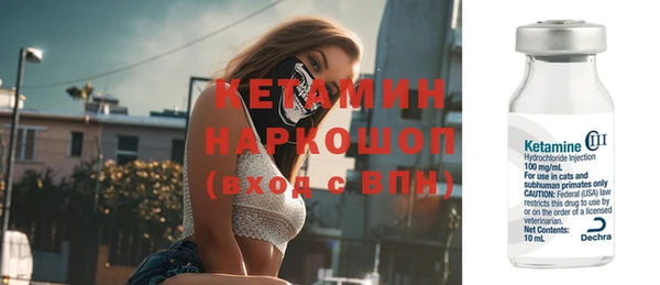 трава Наволоки