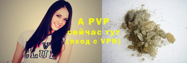 трава Наволоки