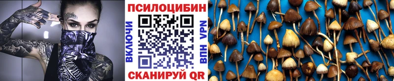 Галлюциногенные грибы ЛСД  Купить  Магас 