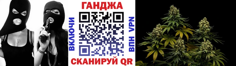 Конопля семена  Купить закладки  Магас 